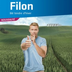 Blé tendre FILON AB COPSEED