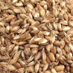 Epeautre COMBURGER AB non traité