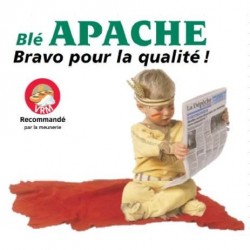 Blé tendre APACHE AB traité vinaigre