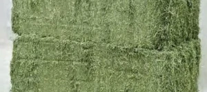 Luzerne 18 déshy en brin - Matière première