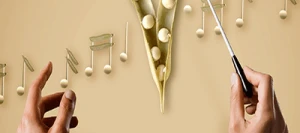 Pois protéagineux ORCHESTRA non traité