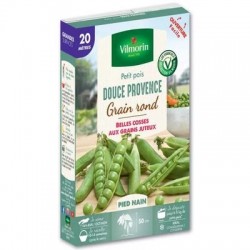 Petit pois DOUCE PROVENCE - VILMORIN