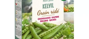 Petit pois KELVIL - VILMORIN