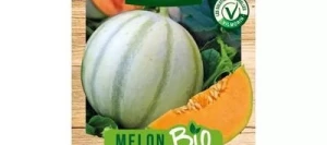 Melon CHARENTAIS BIO - VILMORIN