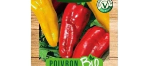 Poivron Mélange de Couleurs BIO - VILMORIN