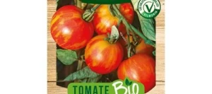 Tomate TIGERELLA BICOLORE BIO - VILMORIN