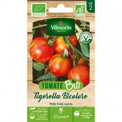 Tomate TIGERELLA BICOLORE BIO - VILMORIN