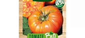 Tomate ANANAS BIO - VILMORIN