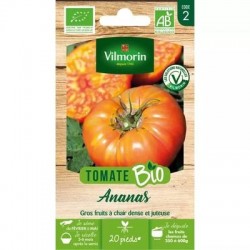 Tomate ANANAS BIO - VILMORIN