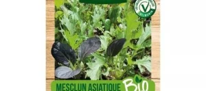Mesclun Asiatique BIO - VILMORIN