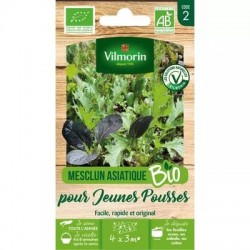 Mesclun Asiatique BIO - VILMORIN