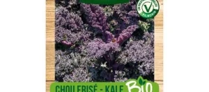 Chou frisé (Kale) SCARLET BIO - VILMORIN