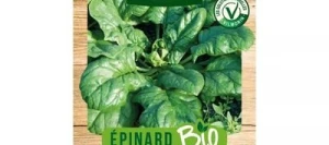 Epinard BUTTERFLAY BIO - VILMORIN
