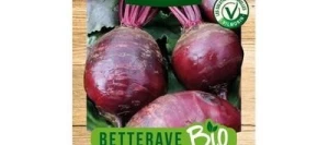 Betterave DE DETROIT 2 BIO - VILMORIN