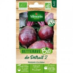 Betterave DE DETROIT 2 BIO - VILMORIN