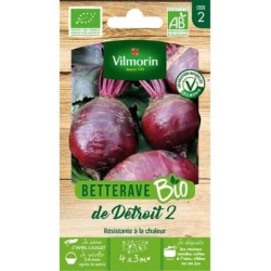 Betterave DE DETROIT 2 BIO - VILMORIN