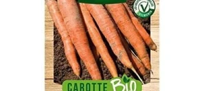 Carotte TOUCHON BIO - VILMORIN