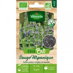 Chia (Sauge Hispanique) BIO - VILMORIN