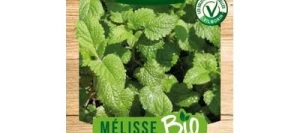 Melisse Citronnelle BIO - VILMORIN