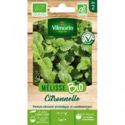 Melisse Citronnelle BIO - VILMORIN