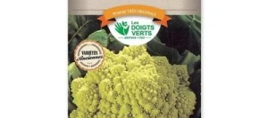 Chou Brocoli ROMANESCO race CAMPIDOGLIO - LES DOIGTS VERTS