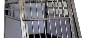 Cage Simple Inox - Chien Taille L