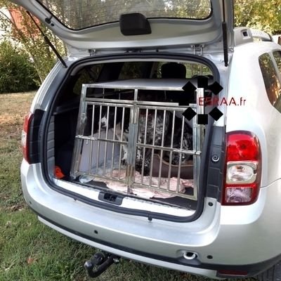 Cage Transport Chien SIMPLE / CAG-003 - Cage chien XXL, Cage chien interieur,  Cage chien voiture, Cage a chien