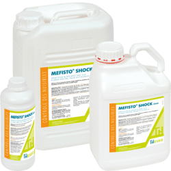 Insecticide + Désinfectant MEFISTO SHOCK - THESEO