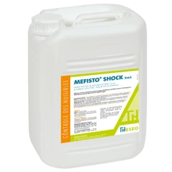 Insecticide + Désinfectant MEFISTO SHOCK - THESEO