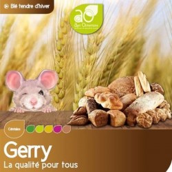 Blé tendre GERRY VIBRANCE GOLD