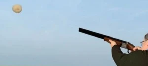 Pois protéagineux BALLTRAP non traité