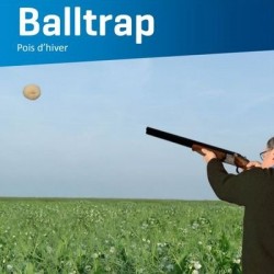 Pois protéagineux BALLTRAP non traité