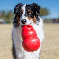 Jouet KONG BOUNZER