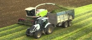 Conservateur acide EXCELMIXT