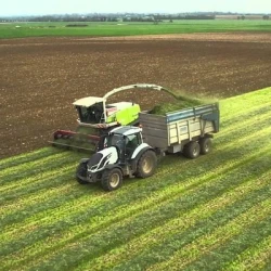 Conservateur acide EXCELMIXT