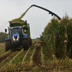 Conservateur biologique PROPIOLACT NG