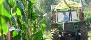 Conservateur biologique ENSIL ACTIV