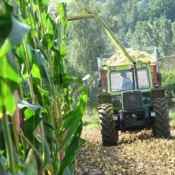 Conservateur biologique ENSIL ACTIV