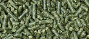 Luzerne déshy 17 en pellet BIO - Matière première