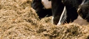 Conservateur acide FreshFOSS