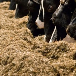 Conservateur acide FreshFOSS