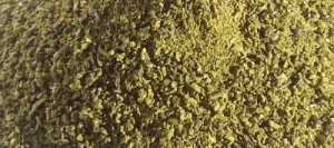 Biostimulant REGULALG UAB poudre