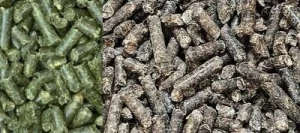 Luzerne 30 & Pulpe 70 - Gr BIO - Matière première