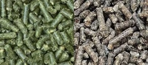 Luzerne 50 & Pulpe 50 - Gr BIO - Matière première