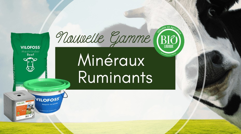 Minéraux et vitamines