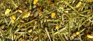 DESHYFIBRE CAP 25/25 - Aliment