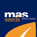 MAS SEEDS MAS SEEDS
