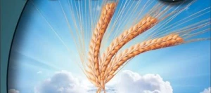 Orge 2R IDILIC AB non traité