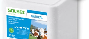 Pierre sel NATURAL - Aliment minéral SOLSEL