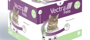 Antiparasitaire VECTRA FELIS - CEVA